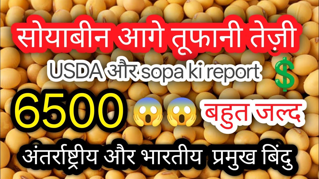 2026 मे आ रहि तूफानी तेज़ी, जानिए विस्तार से जानकारी, सभी प्रमुख बिंदु पर चर्चा, वैश्विक बाजार 