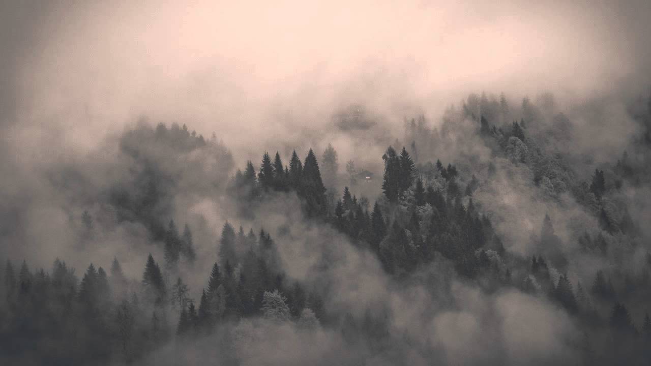 Wulf - Blueberry