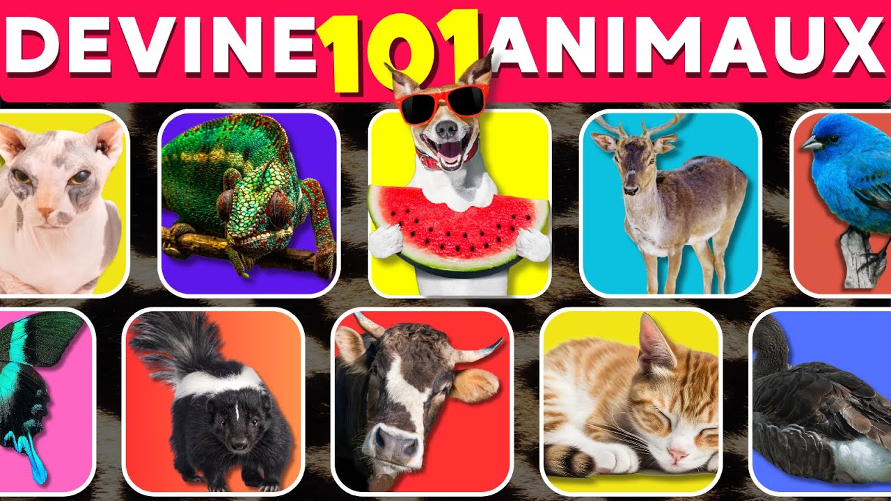 Devine 100 Animaux en 3 secondes - Facile a Impossible - quiz image