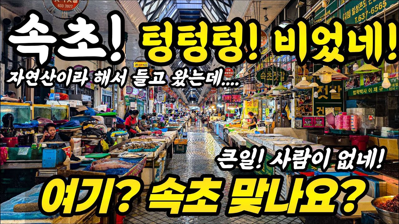 속초! 큰일 사람이 없네! 텅텅텅! 비었네! 여기 속초 맞나요? 자연산이라고 해서 들고왔는데! #속초 #폭락 #음식 #주문진 #바가지 #오징어 #뉴스 #쇼핑 #수산물 #강원도