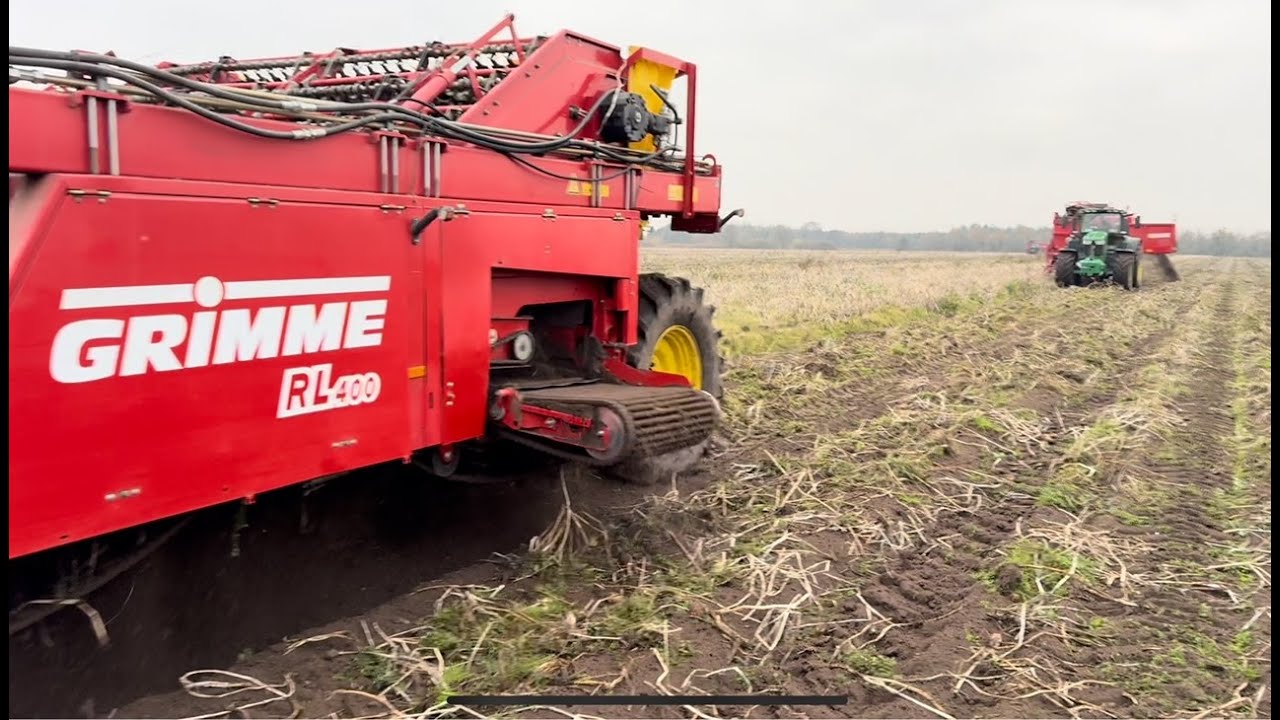 Bimpel // Grimme RL400 // 2 x Grimme 150-60XXL // 6 rows potato harvest in Denmark