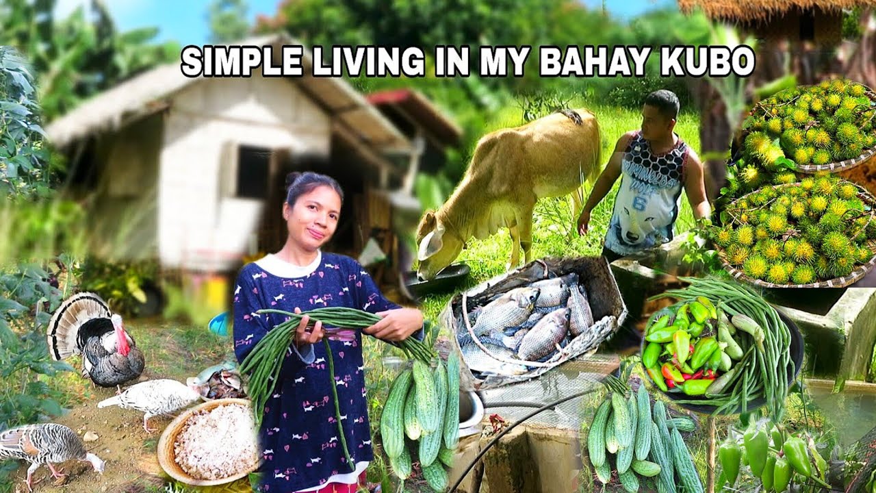 VIDEO COMPILATION: Simple Living In My Bahay Kubo 