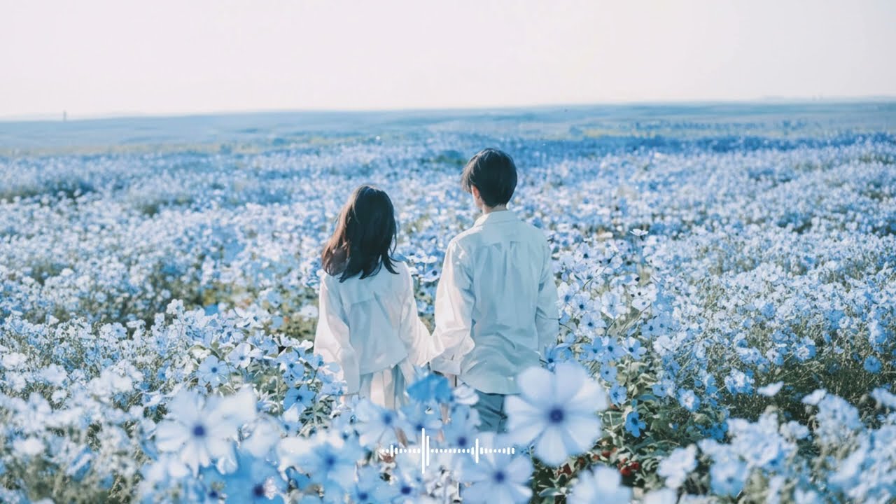 추억의 올드팝 명곡 모음 | 편안하고 잔잔한 클래식 팝송 플레이리스트