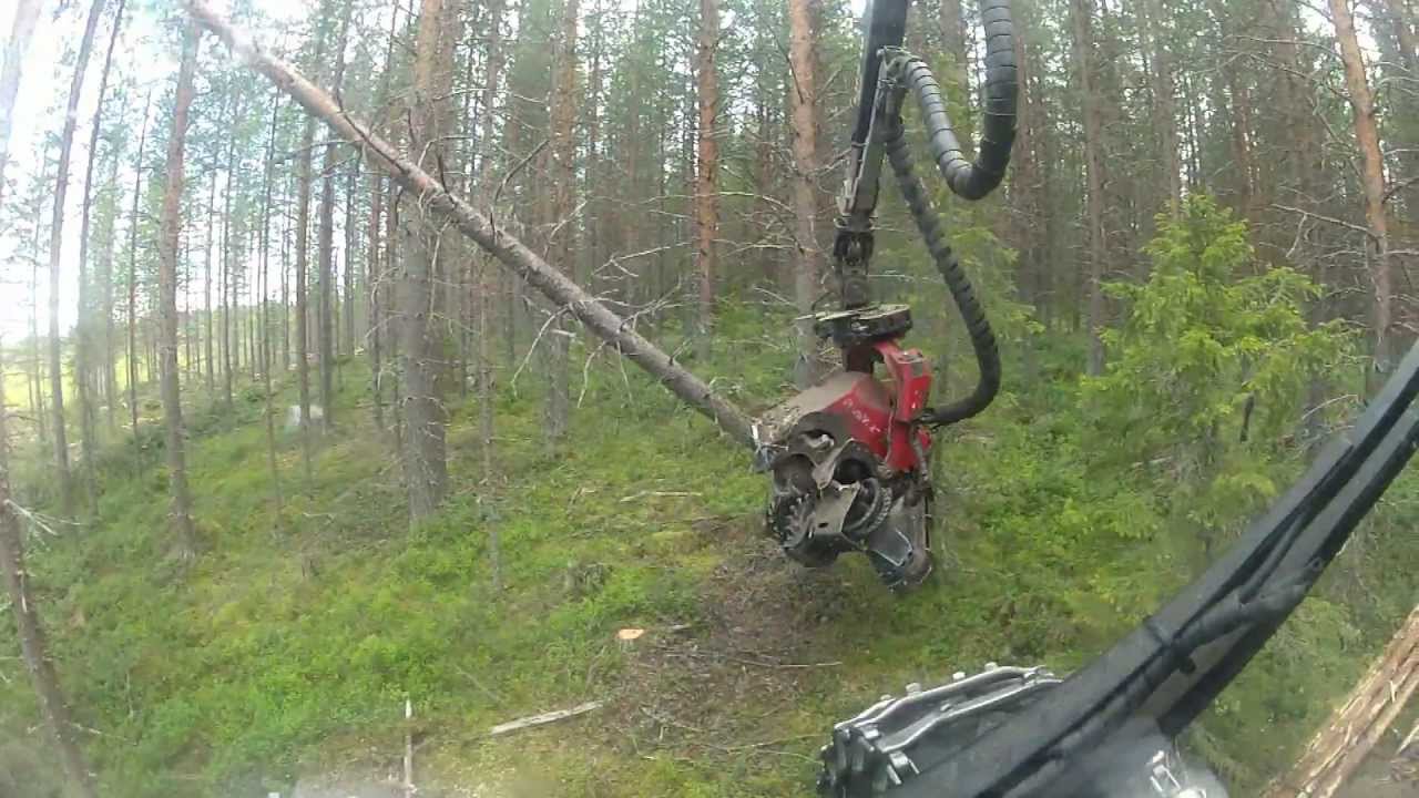 Valmet 901 TX Gallring