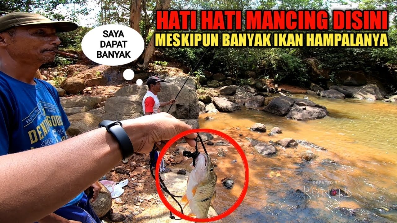 BAPAK INI BANYAK SEKALI DAPAT IKAN HAMPALA | REYNOLD SB