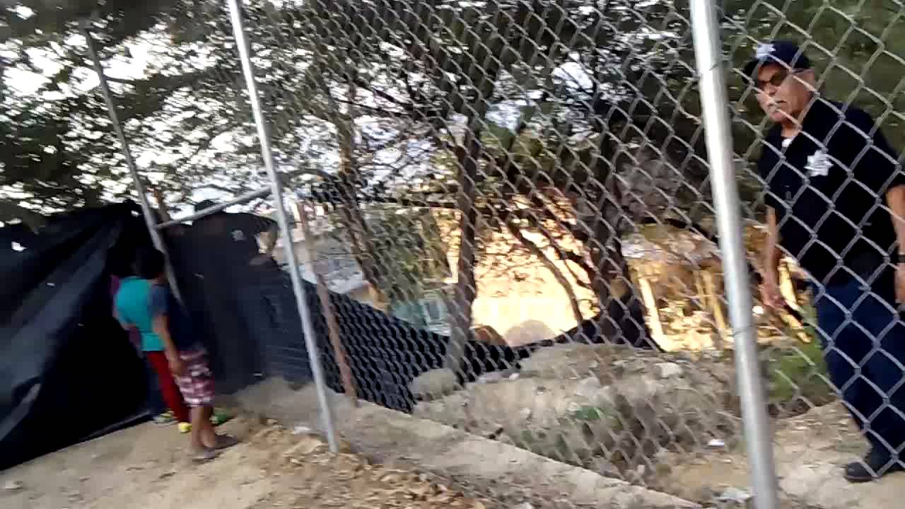 XD la policia wevoneando