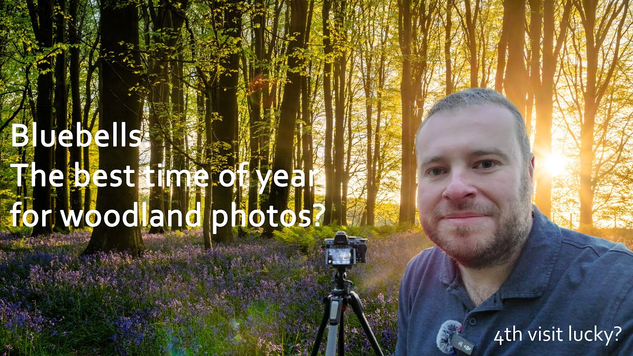 Photographing bluebells at Sunset: Perseverance in Landscape & Woodland Photography