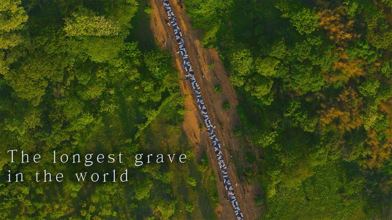 KBS The Korean War Special Documentary 'The longest grave in the world' / KBS대전 20210615 방송