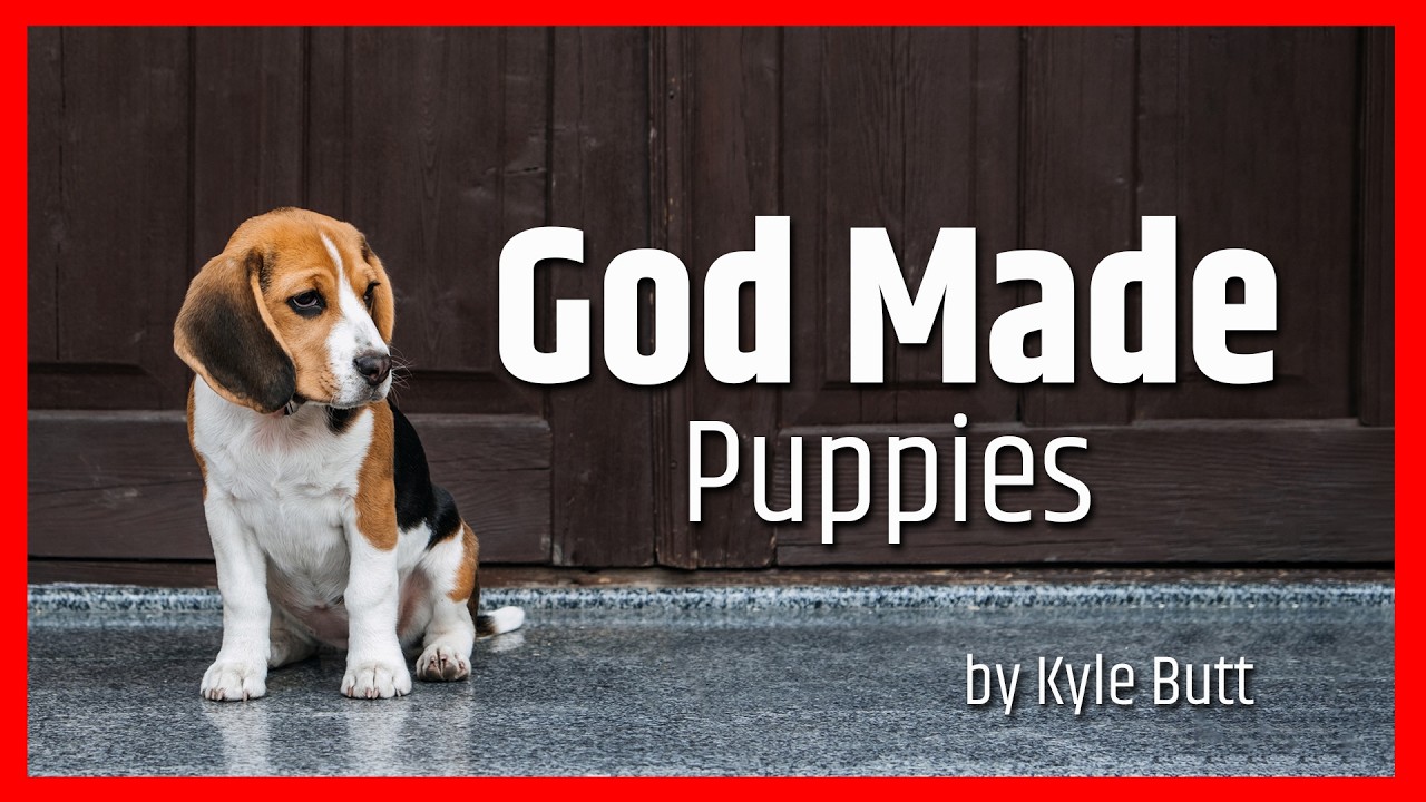 God Made Puppies