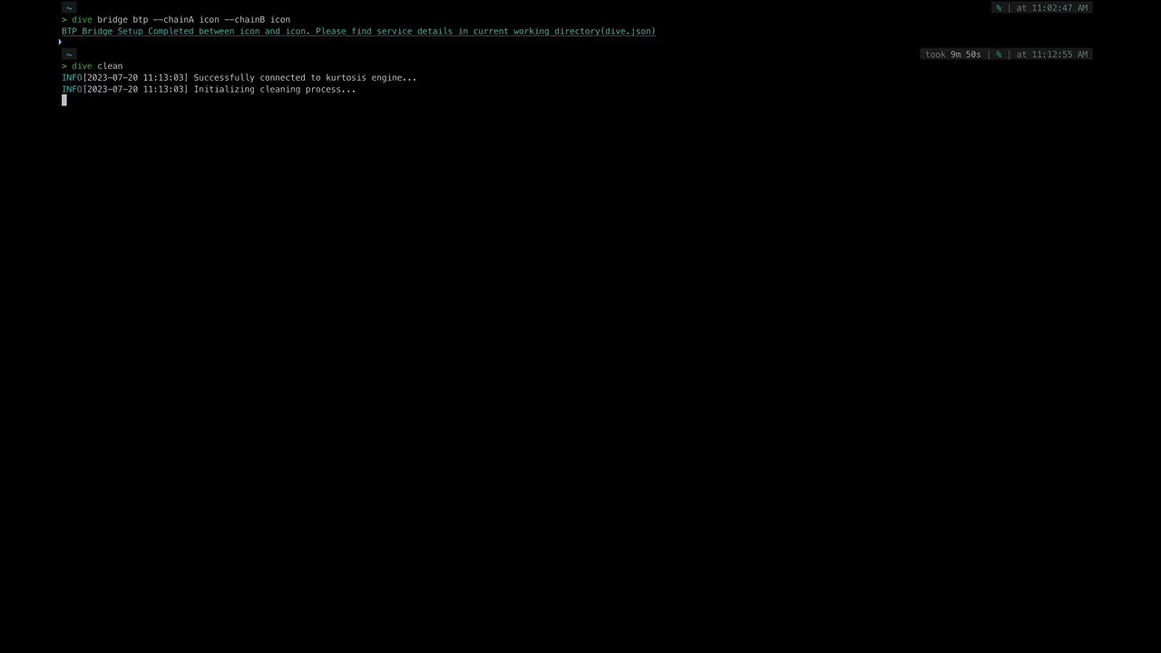 BTP Bridge setup using DIVE Cli