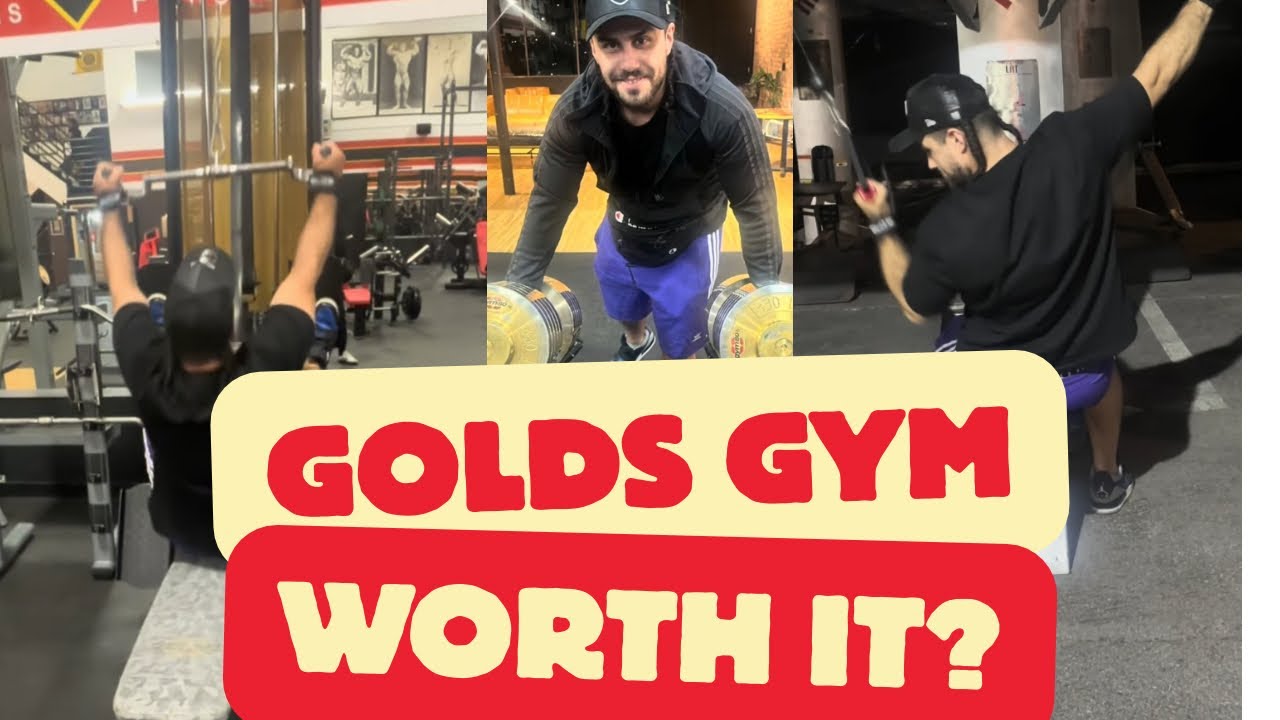 Is Gold’s Gym Venice beach worth it? Gym equipment specialist trains back at golds gym