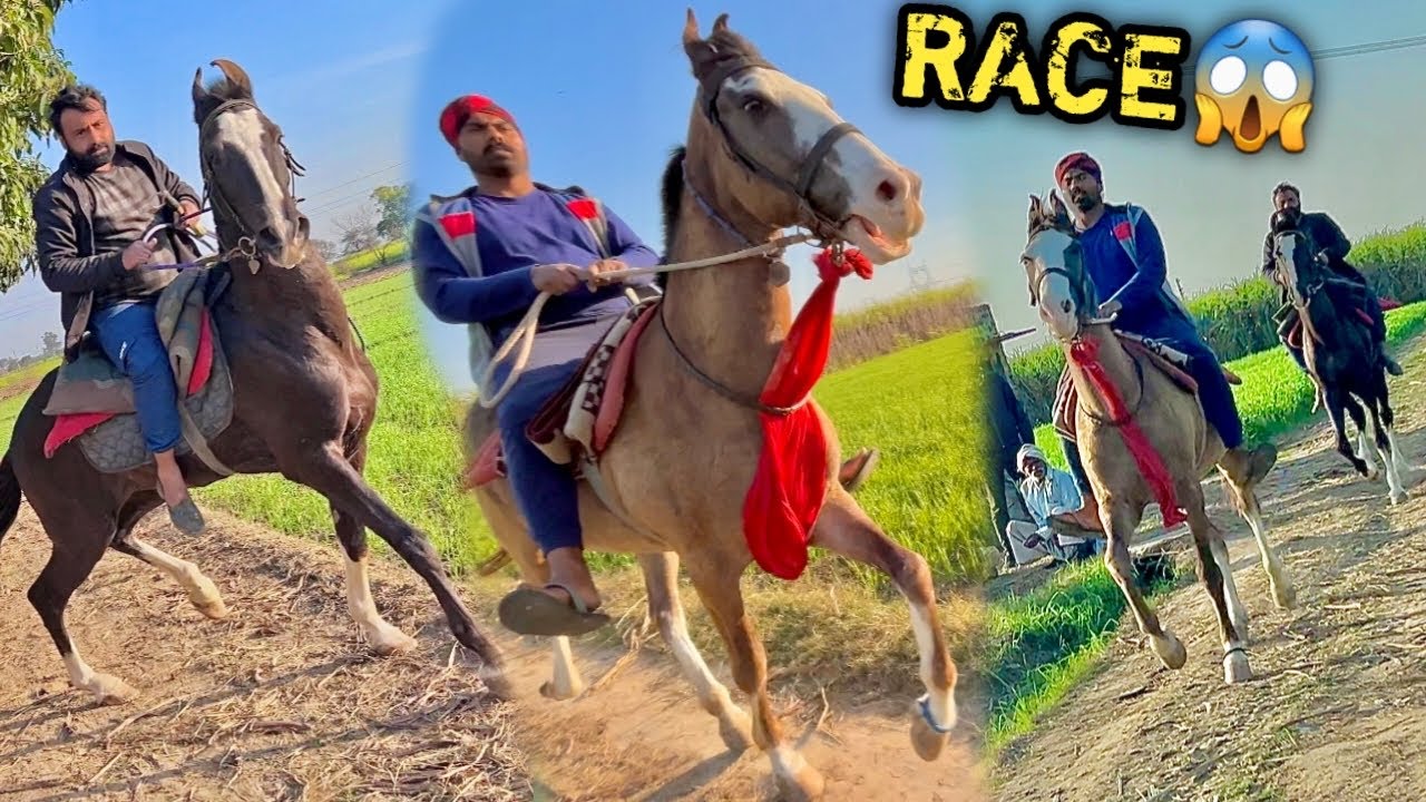 RAFTAR Ko Race Ke Liye Challenge Krdiya 🔥Ghodi V/S Raftar