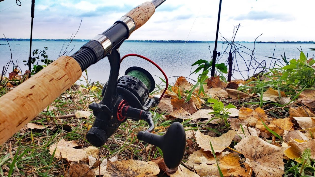 Cold Water Carp Fishing! (Late Fall Bank Fishing)