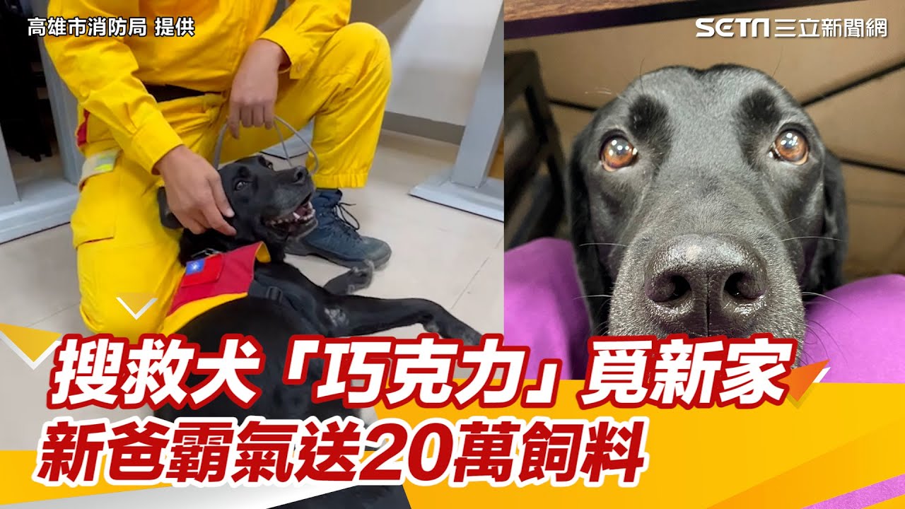 搜救犬「巧克力」覓新家　新爸霸氣送20萬飼料：下半生由我來照顧｜三立新聞網 SETN.com