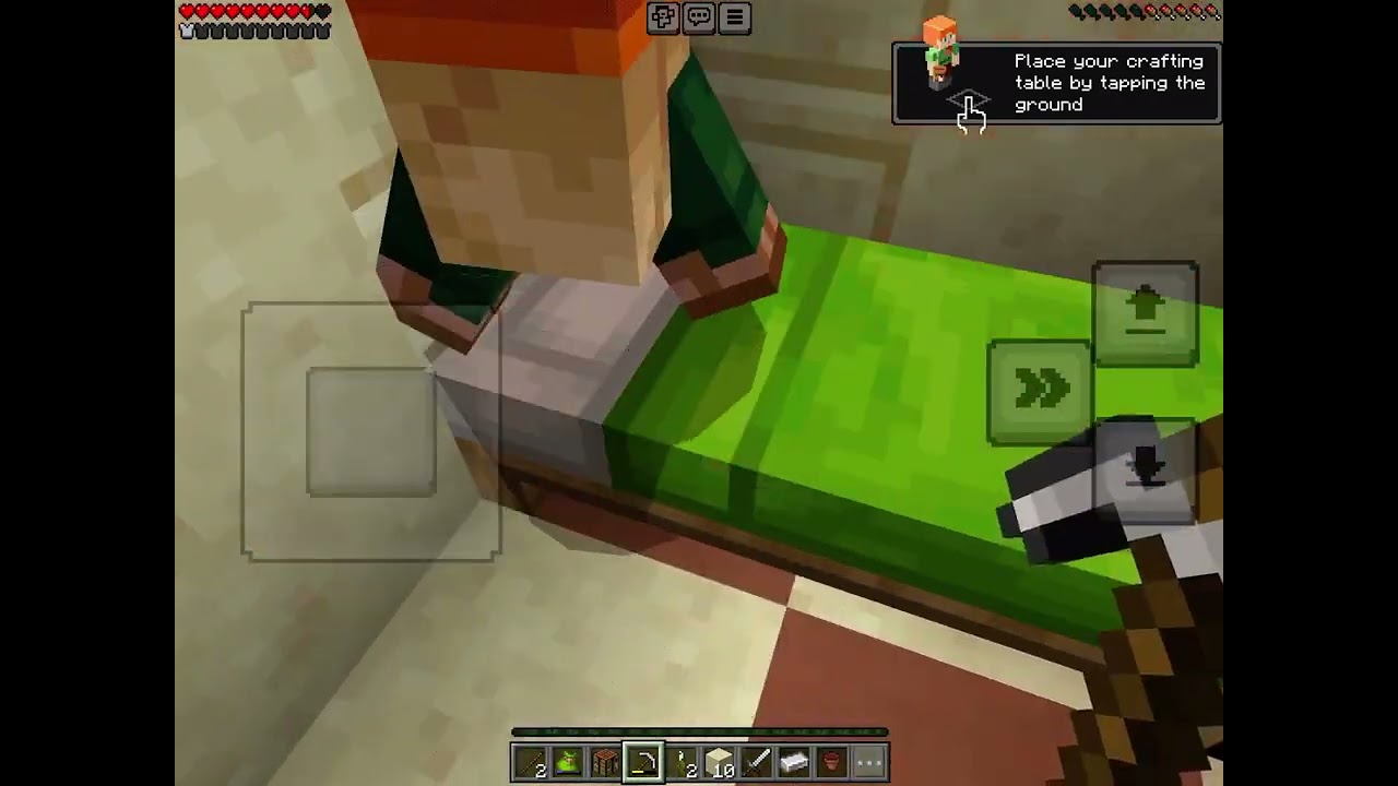 I play Minecraft 