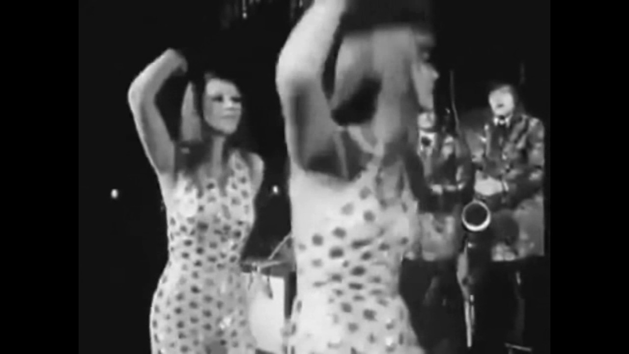 Touro Solitário The Fevers  Original 1965