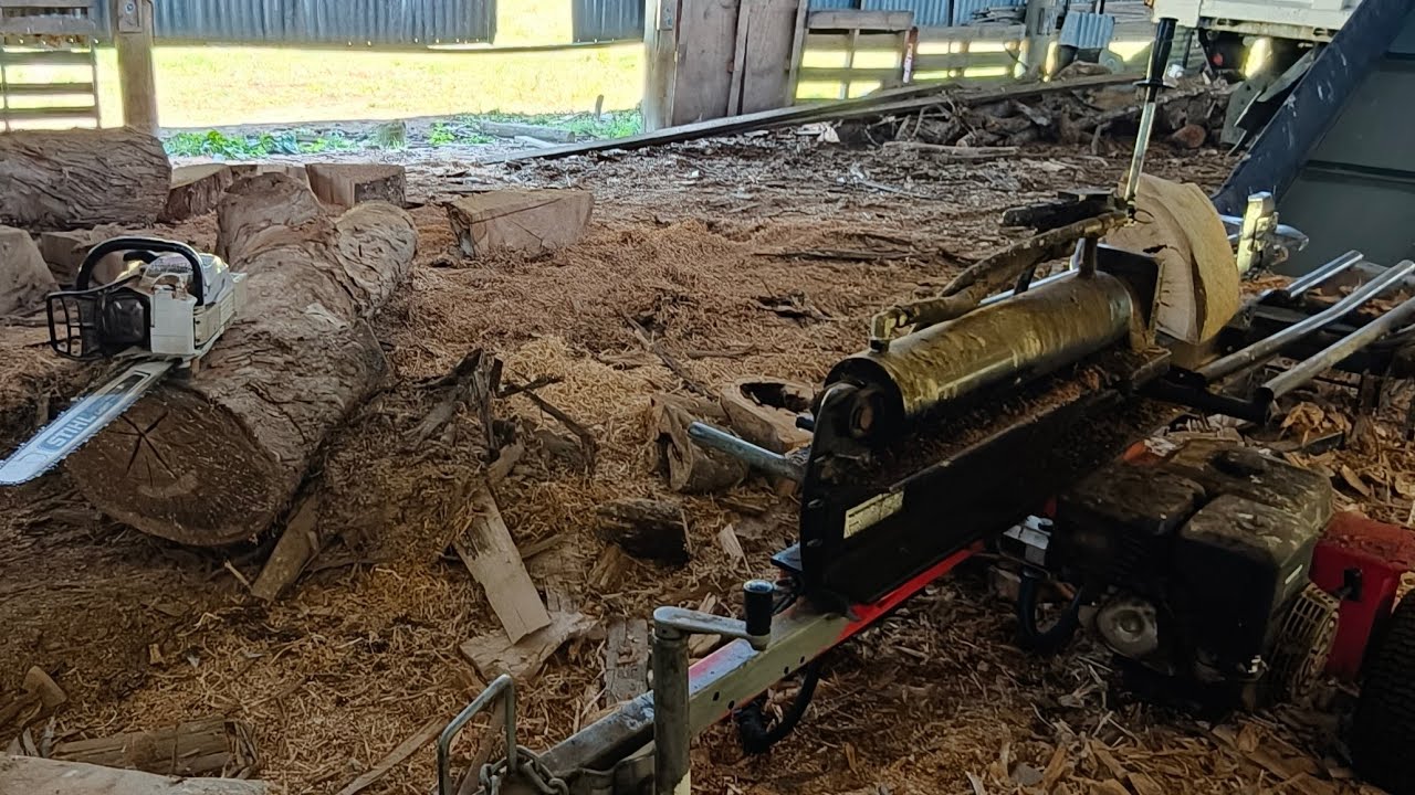 Splitting and chainsaw dry gum winter coming