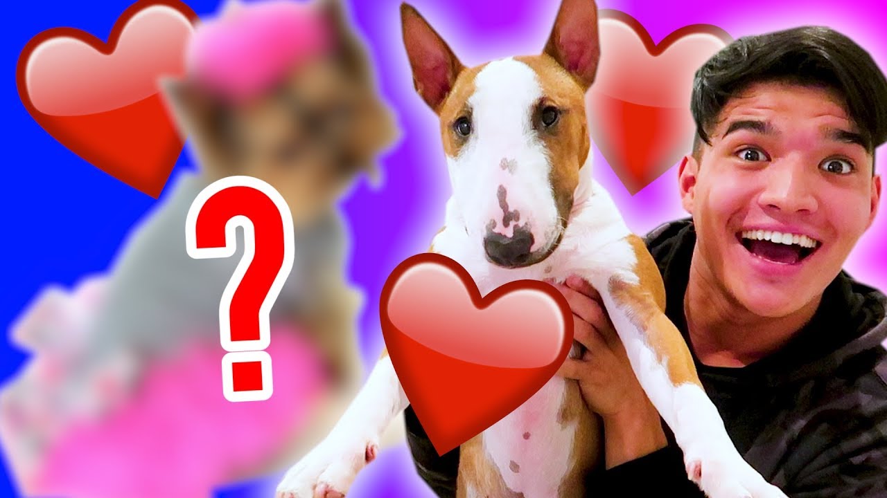 MY SONS FIRST GIRLFRIEND! *puppy love*
