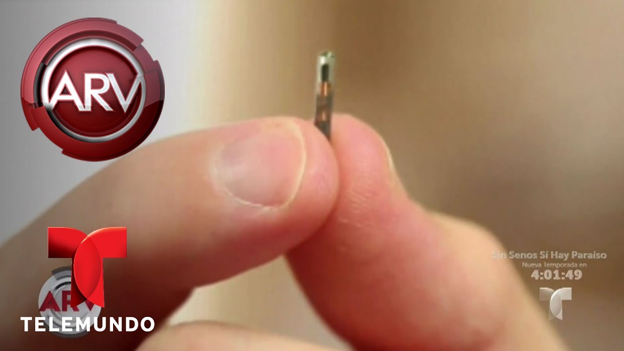 Empresa ofrece instalar microchips a los empleados | Al Rojo Vivo | Telemundo