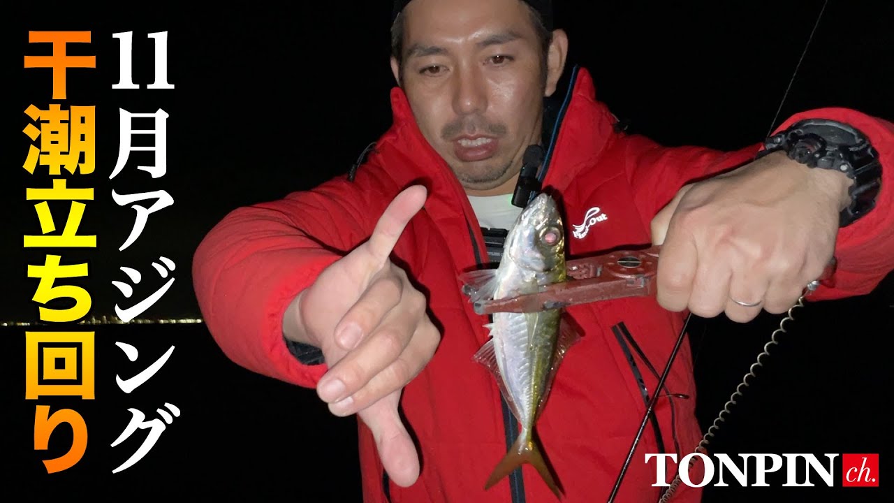 【11月アジング！干潮時の釣果を出す立ち回り術!!】SOTvol,325