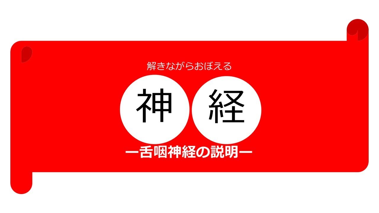 舌咽神経の説明