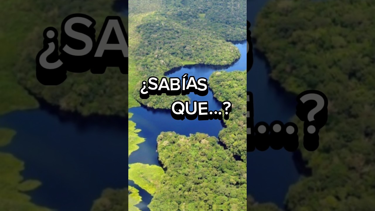 EL TAMA&Ntilde;O DEL RIO AMAZONAS #amazonas #brasil #rio #rioamazonas
