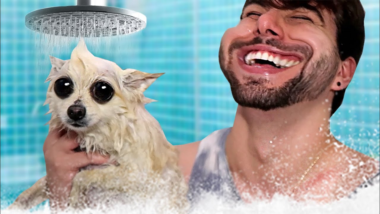 Um v&iacute;deo dando BANHO no meu cachorro......