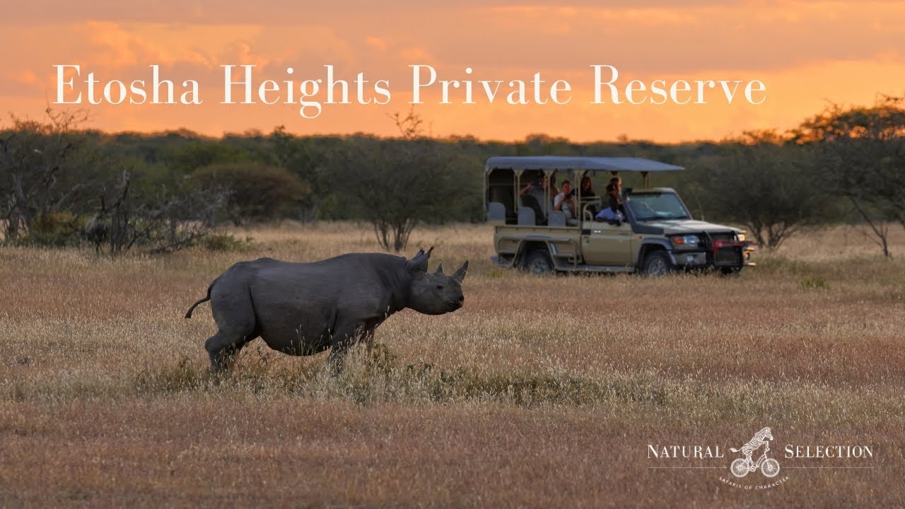 Etosha Heights Private Reserve | Namibia