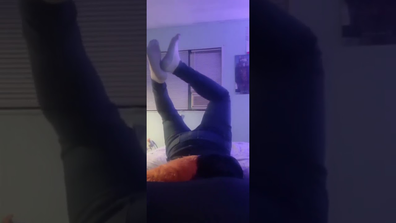 Emo Fox Boi stuck head first again