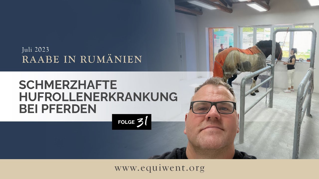 Raabe in Rumänien, Folge 31 – schmerzhafte Hufrollenerkrankung bei Pferden
