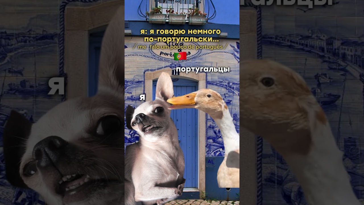 помогите 🫠
