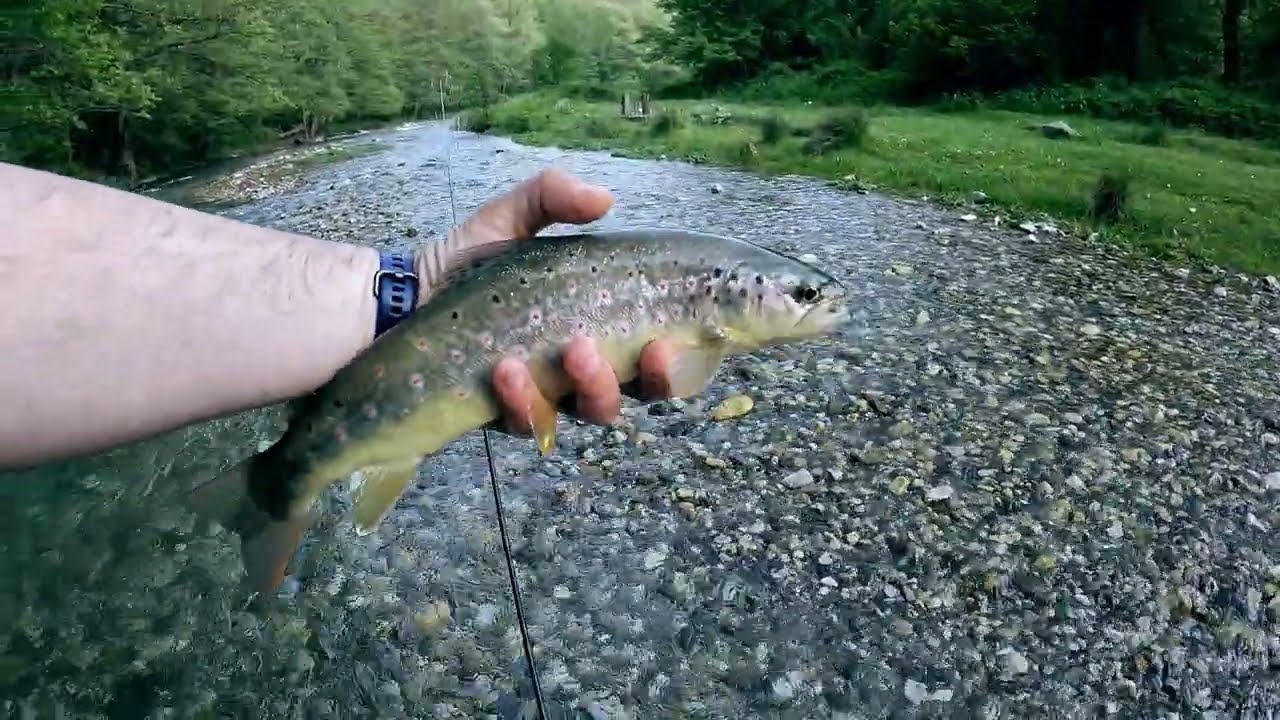 Nimfarenje reka Gradac | Fly fishing Gradac river , euro nymphing