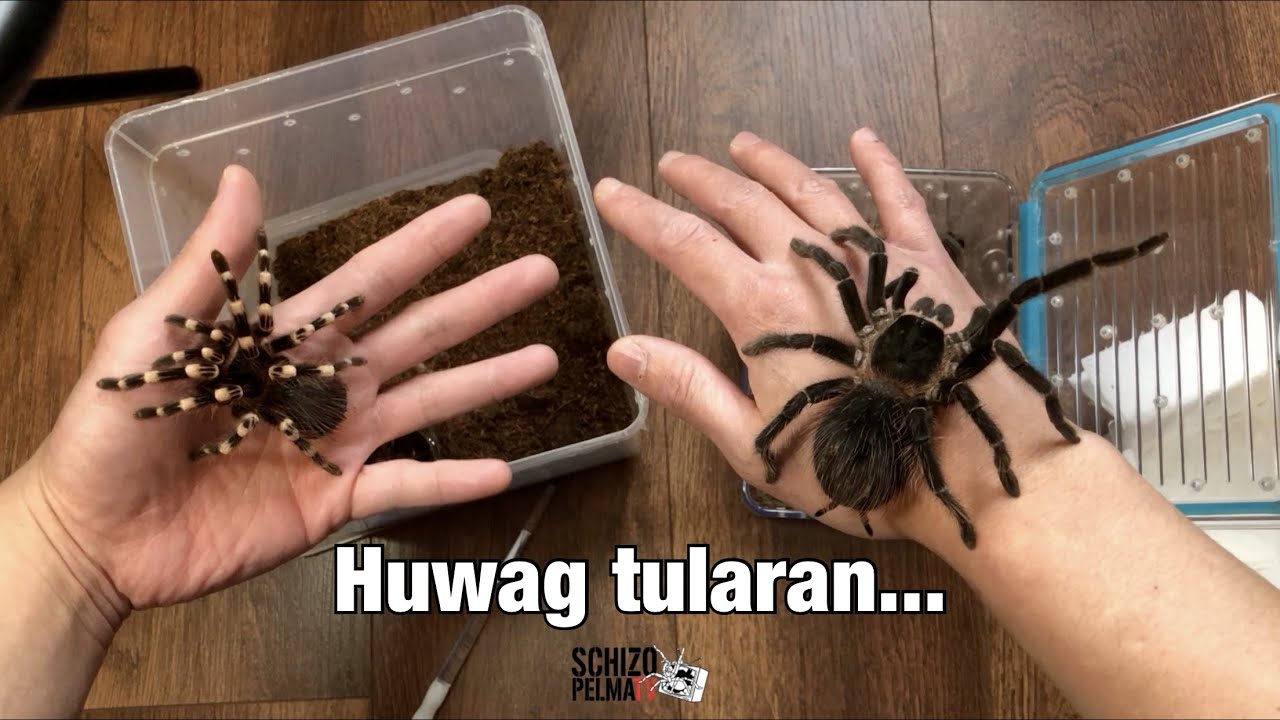 Need talaga magbawas pero bakit may tumatakas pa??