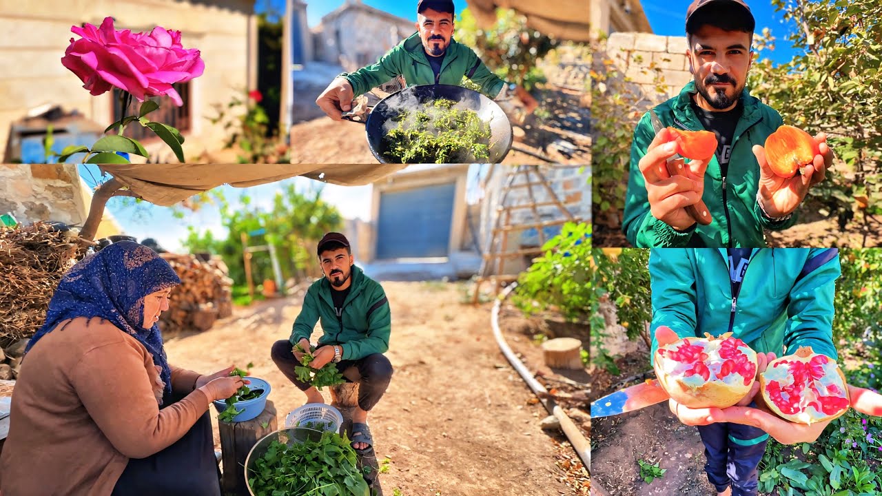 عملنا أطيب طبخا خريفية من بستان البيت وقطفنا الفواكه من الاشجار