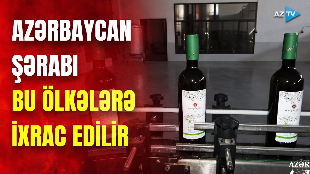 Şəraba çevrilən üzüm: Samuxda yığılan məhsuldan yüksək keyfiyyətli şərab alınır