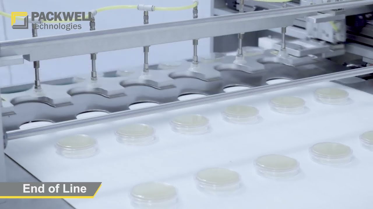 6-Head Petri Dish Filling Line For 90 mm & 55 mm Plates
