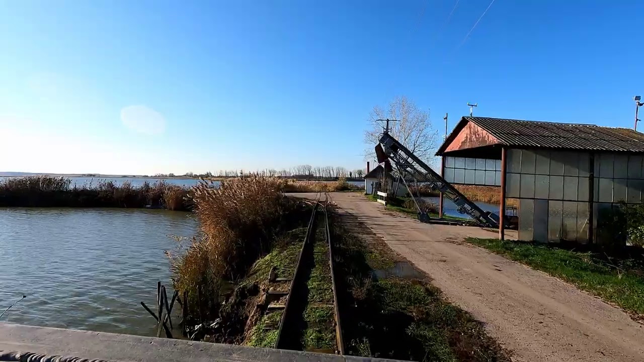 Tömörkényi Halgazdasági Vasút: Fűtőházi delta - Csaj-tó
