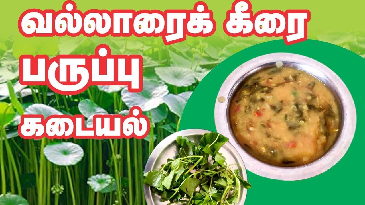 Vallarai keerai (Centella asiatica) / paruppu kadayal / Toor dal / Urmila Loganathan