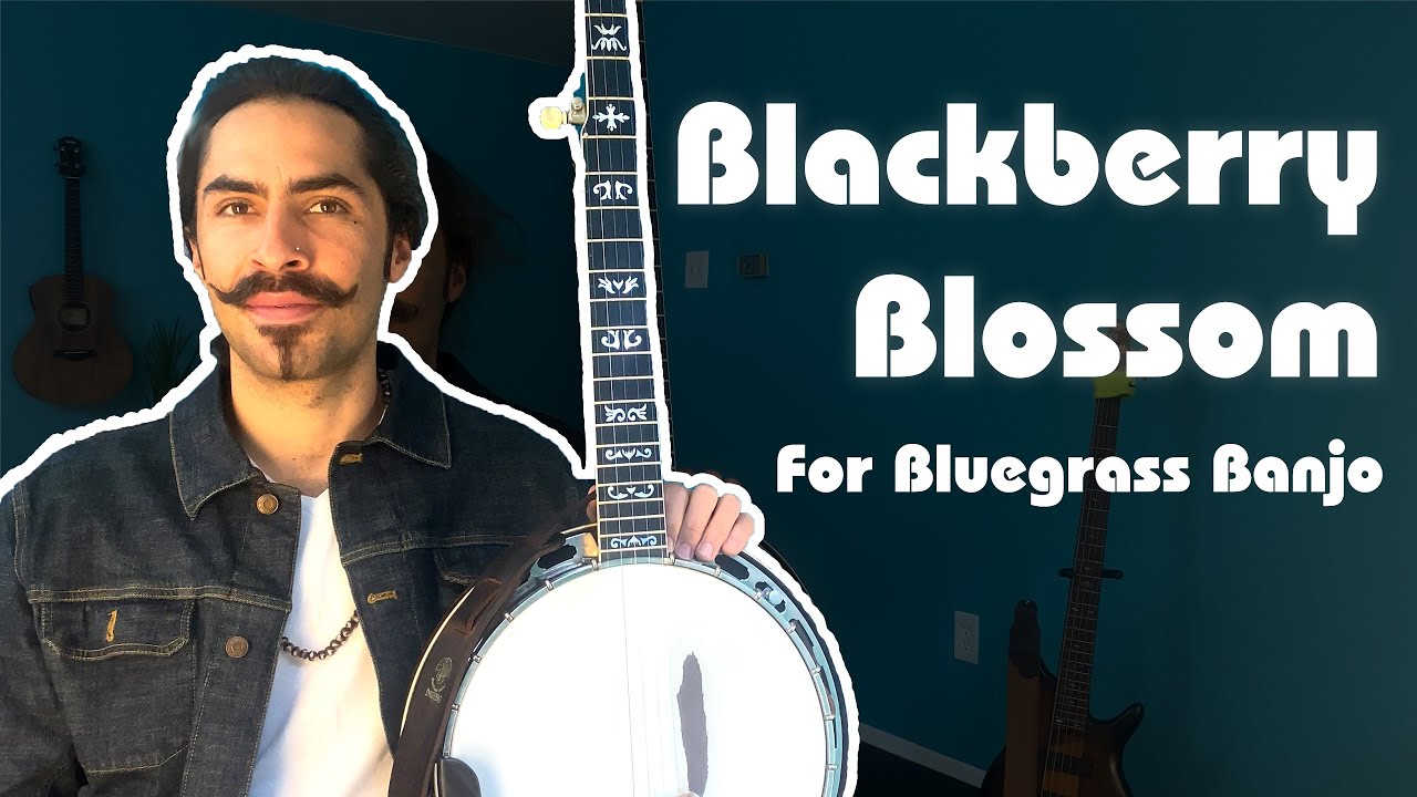 Blackberry Blossom for Bluegrass Banjo // Summer Slappers