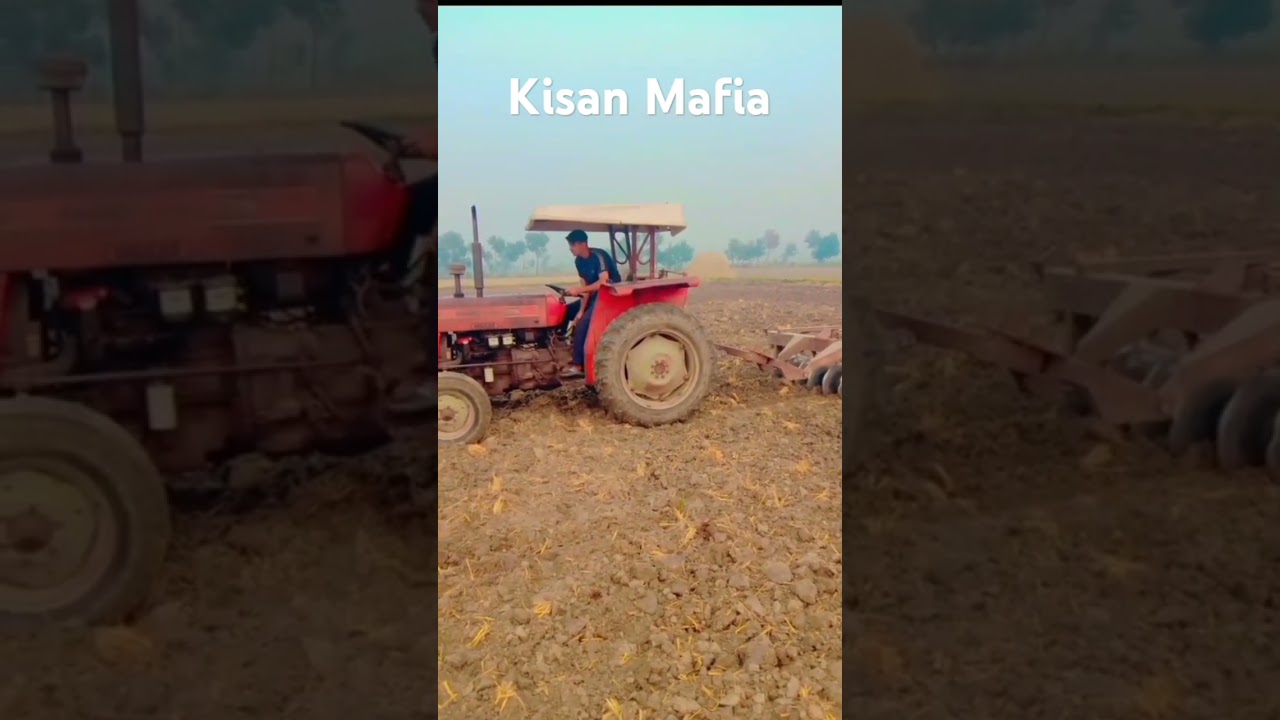 Sadye sir tu shahan de paran gallye ni # First reel#punjabi #punjabisong # kisan mehkama #love