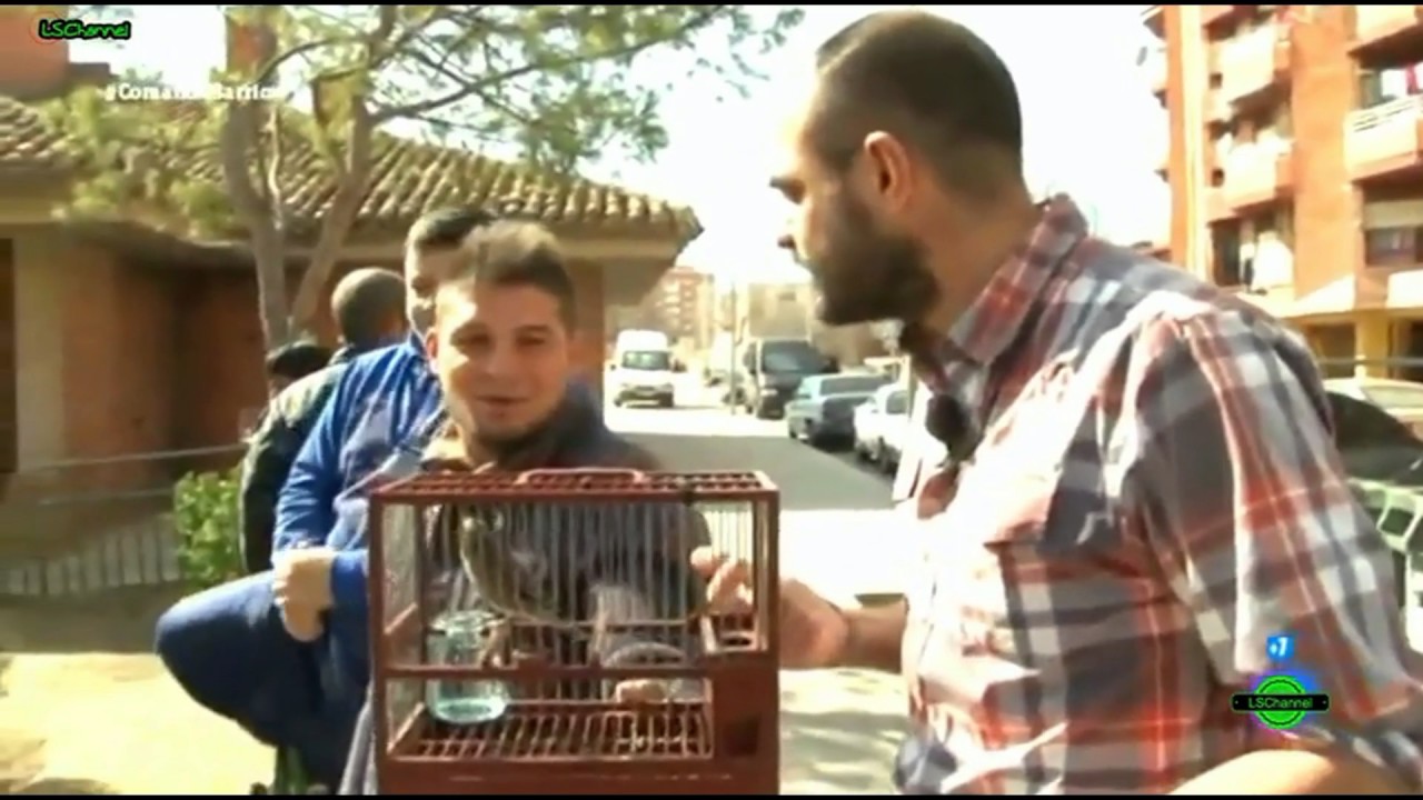 COMANDO ACTUALIDAD - Albacete  (barrio de las 600)