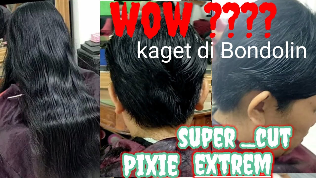 super _cut Pixie (bikin kaget minta di bondolin)