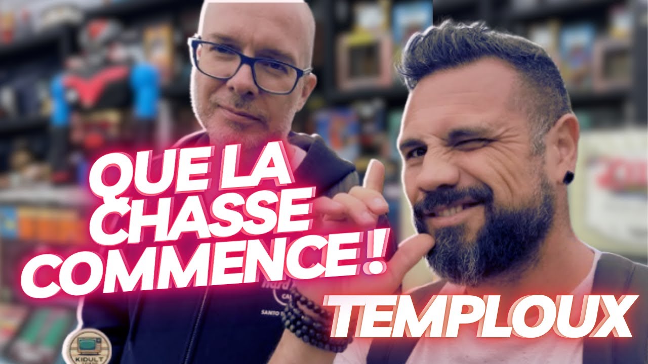 MA PREMI&Egrave;RE FOIS &Agrave; LA BROCANTE DE TEMPLOUX 😱