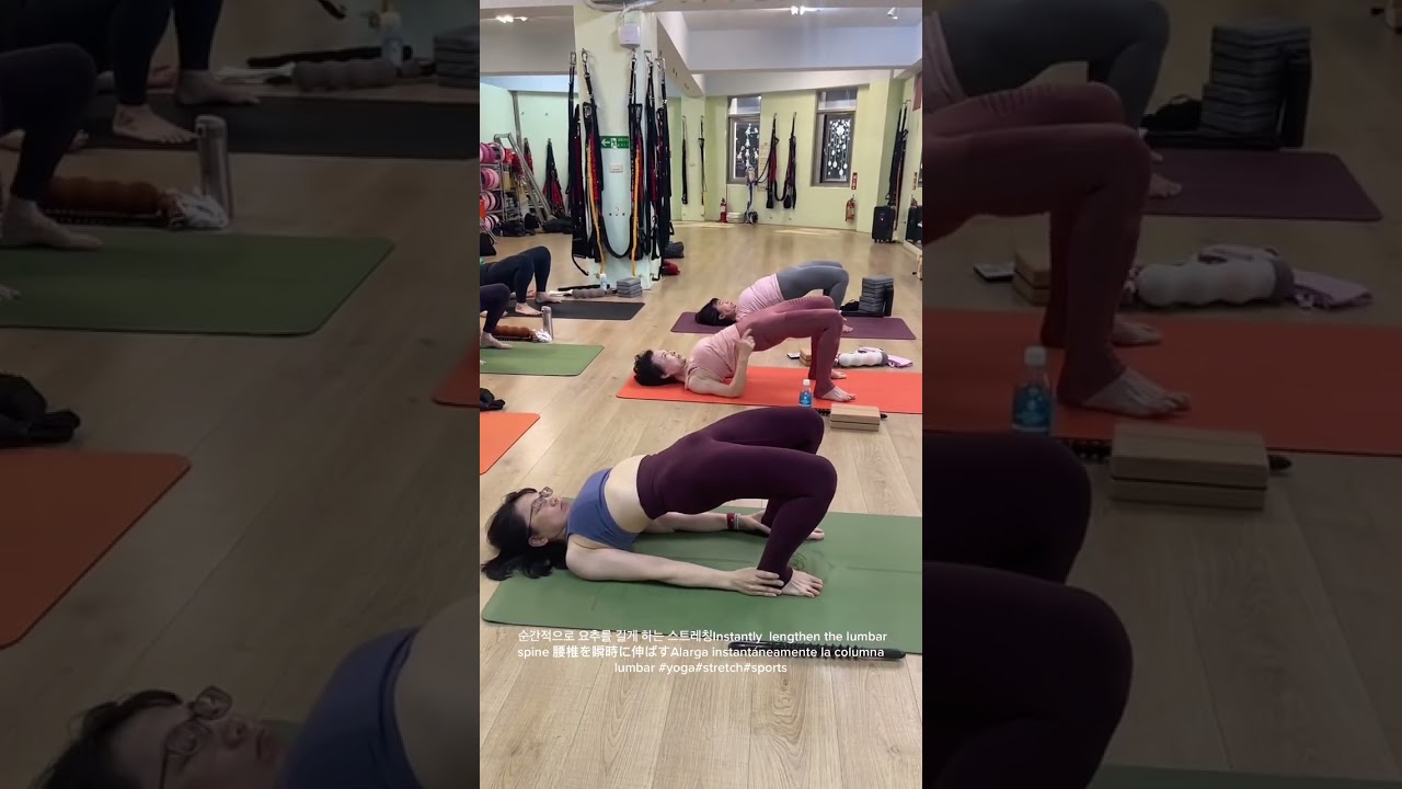 순간적으로 요추를 길게 하는 스트레칭Instantly  lengthen the lumbar spine 腰椎を瞬時に伸ばす