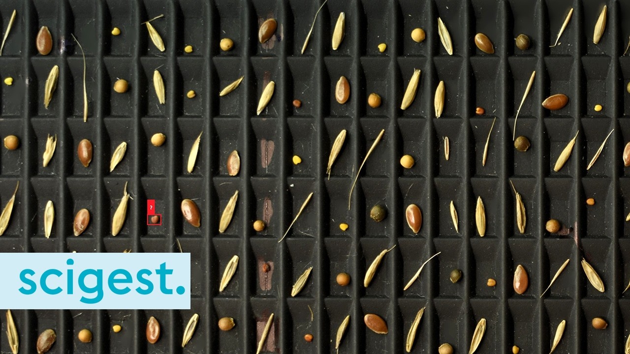Hyperseeds: Embracing AI to find solutions for NZ's seed industry (New Tech podcast series)