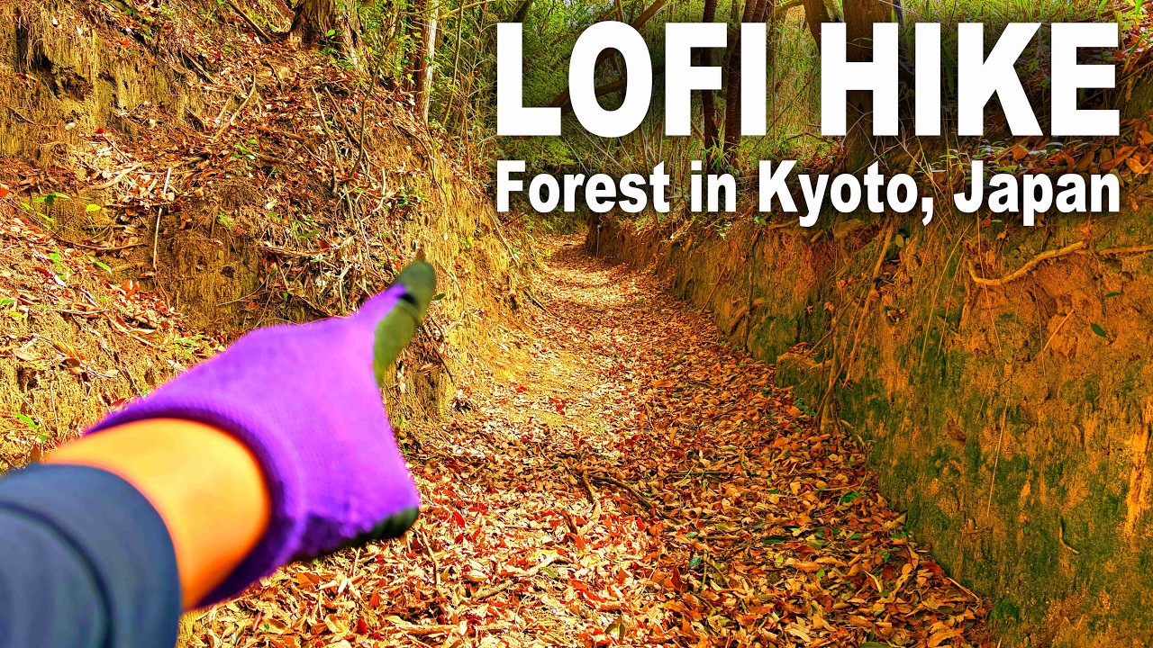 There's no right path. Your steps create the way. 🍃 Lofi Study Music / Forest Kyoto, Japan