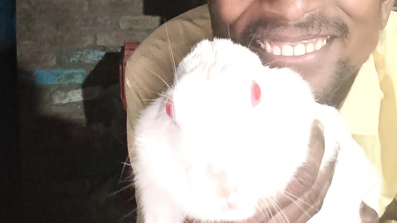 famous point blogger to is live good morning dosto ham ko bolo