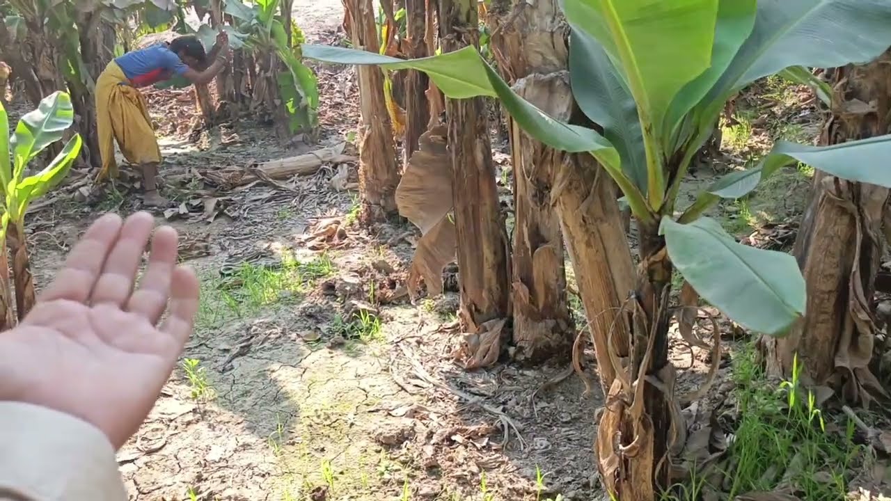 Kile kopana Mein Mard bachane Ka Tarika dikhao
