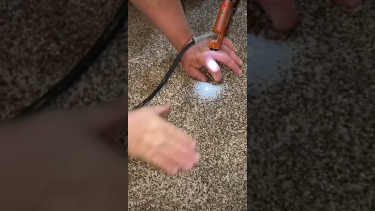 Carpet Seams Disappear. 