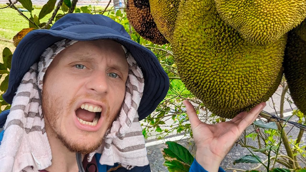 Why My Life is Better in Taiwan than America 🇹🇼 Teaching, Safety, and Learning Chinese